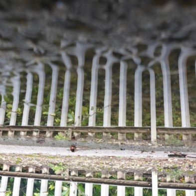 tsa_photoclub2019 (24)(1)